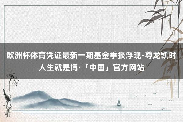 欧洲杯体育凭证最新一期基金季报浮现-尊龙凯时人生就是博·「中国」官方网站