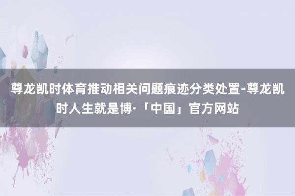 尊龙凯时体育推动相关问题痕迹分类处置-尊龙凯时人生就是博·「中国」官方网站