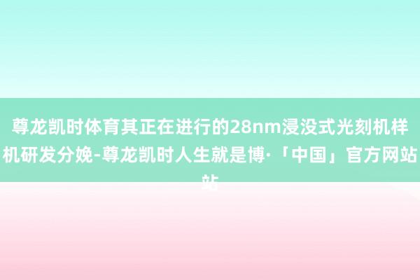 尊龙凯时体育其正在进行的28nm浸没式光刻机样机研发分娩-尊龙凯时人生就是博·「中国」官方网站