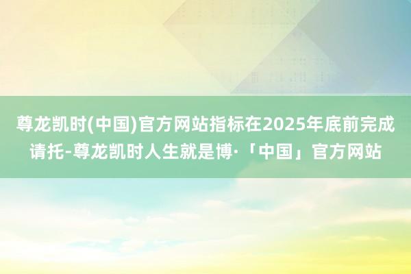 尊龙凯时(中国)官方网站指标在2025年底前完成请托-尊龙凯时人生就是博·「中国」官方网站