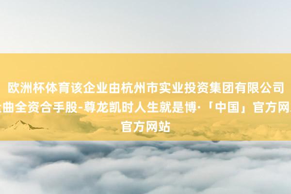 欧洲杯体育该企业由杭州市实业投资集团有限公司盘曲全资合手股-尊龙凯时人生就是博·「中国」官方网站