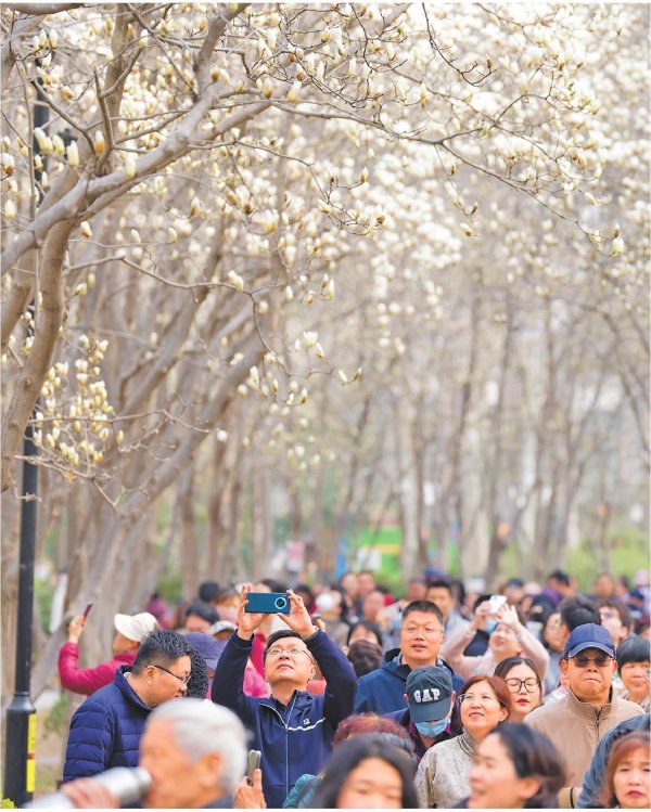 九游体育娱乐网“第四届汉服花朝节将于3月22日与旅客碰头-九游体育(NineGame Sports)官方网站